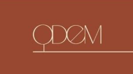 jobs in ODEM GROUP PRIVATE LIMITED