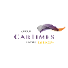 jobs in CAR TIMES AUTOMOBILE PTE LTD