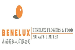 BENELUX FLOWERS & FOOD PTE LTD