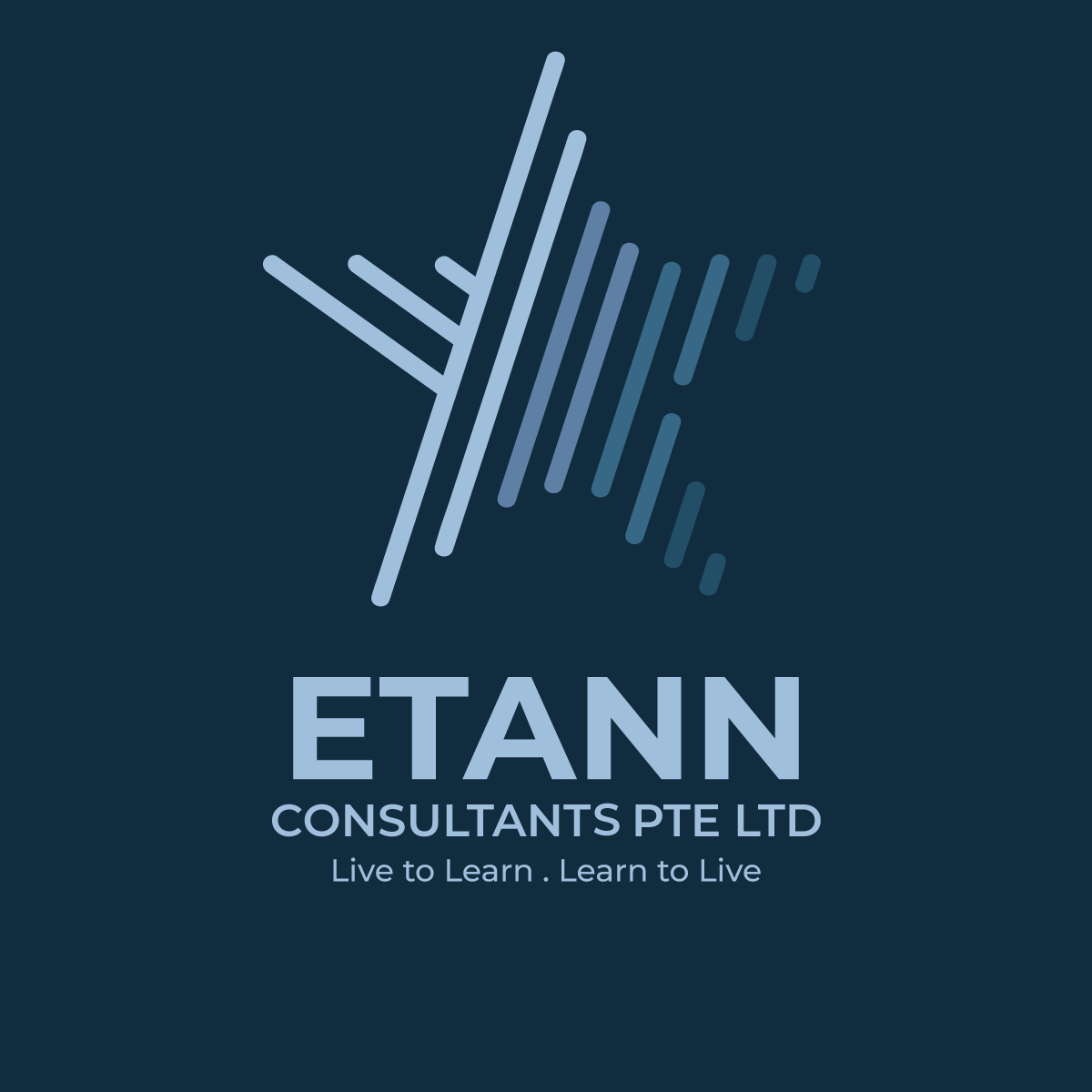 ETANN CONSULTANTS PTE LTD